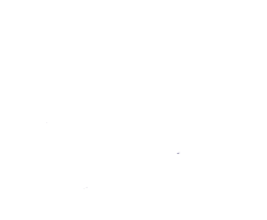 DOGchilla | Bed & Bone