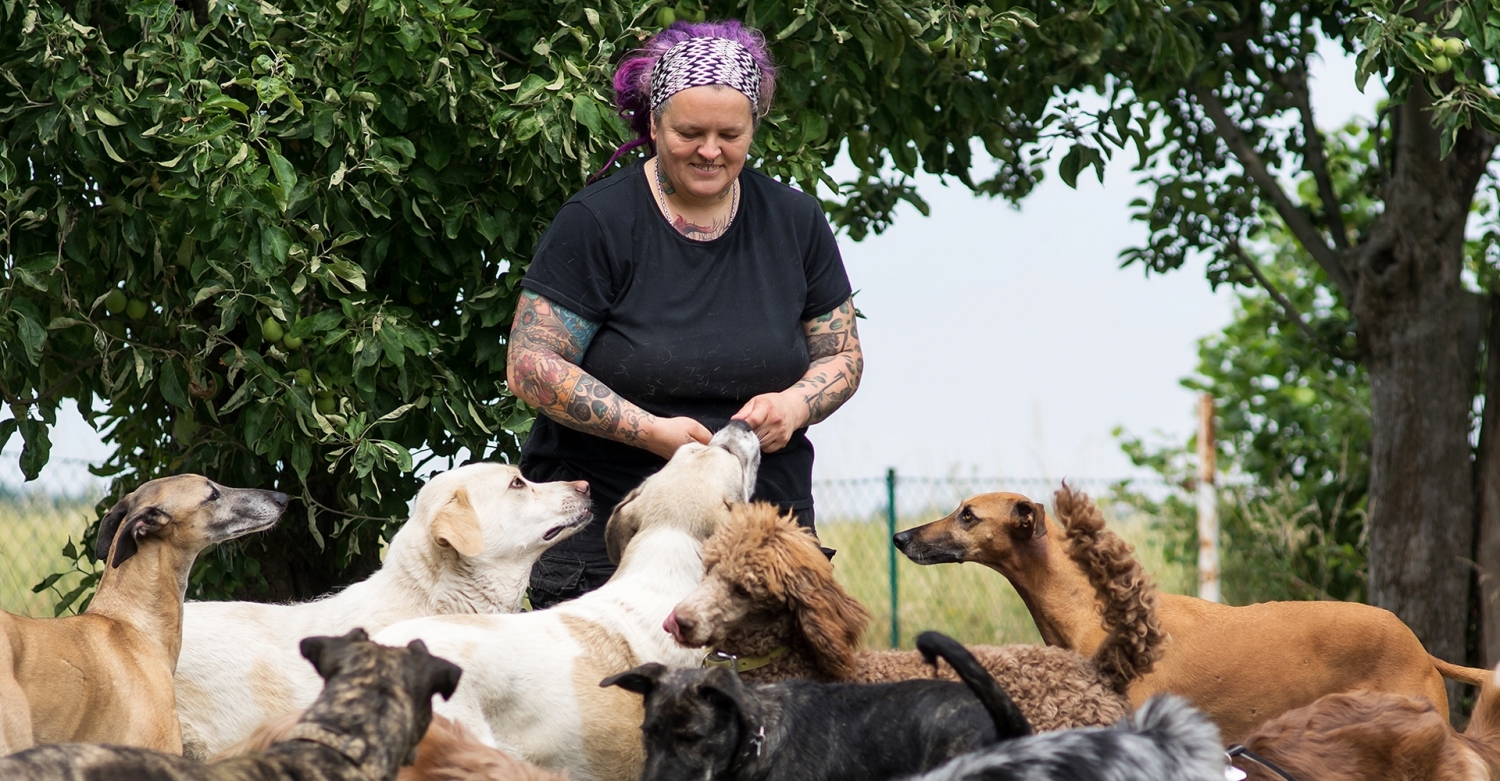 hitzemann Team - DOGchilla
